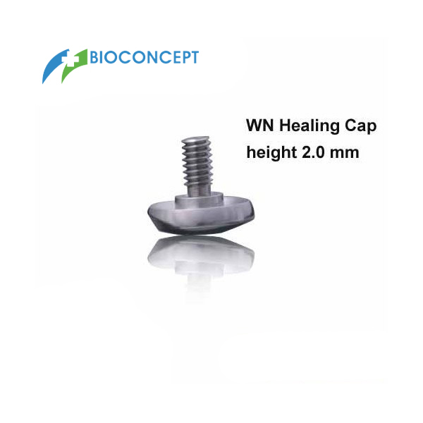 Wide Neck Healing cap, labial bevel, height 2mm